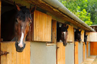 free Scruton stable construction quotes
